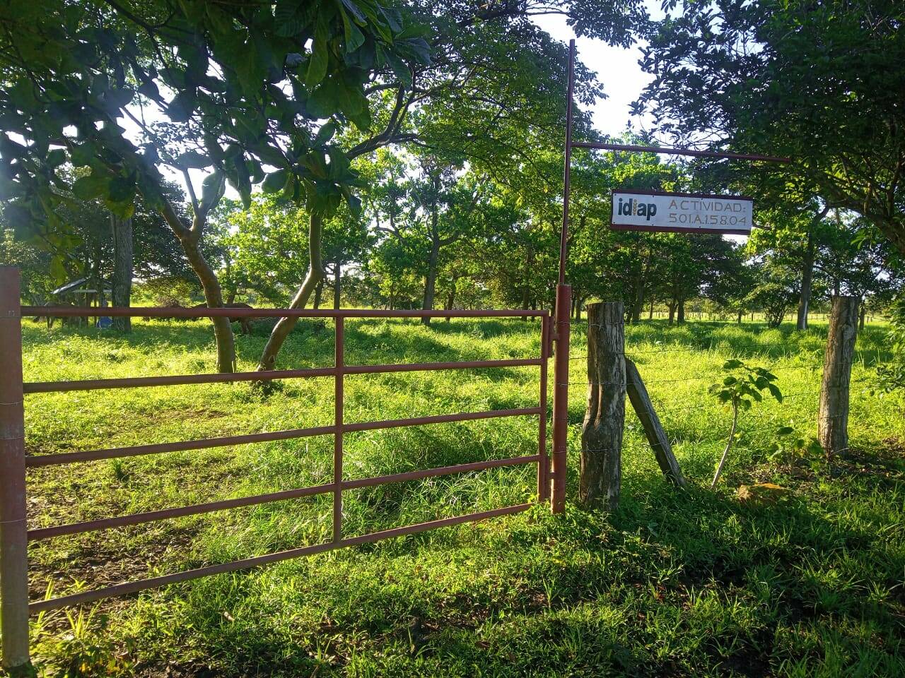 Alternativas Tecnológicas en Sistemas de Producción Bovina