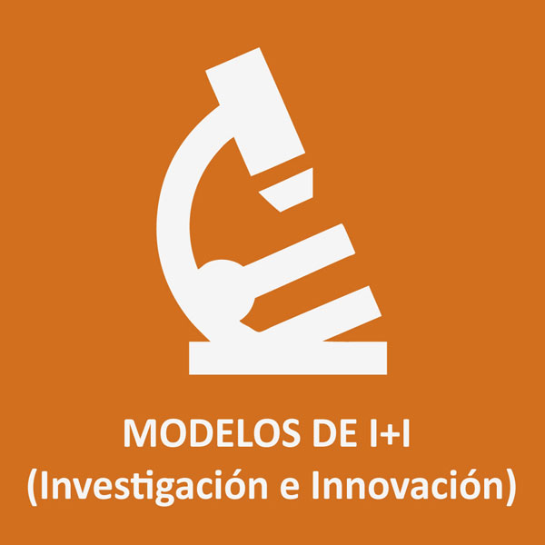 Modelos de I+I (Investigación e Innovación)