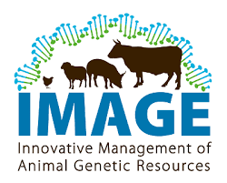 INNOVATIVE MANGMENT OF ANIMAL GENETIC RESOURCES (IMAGE)