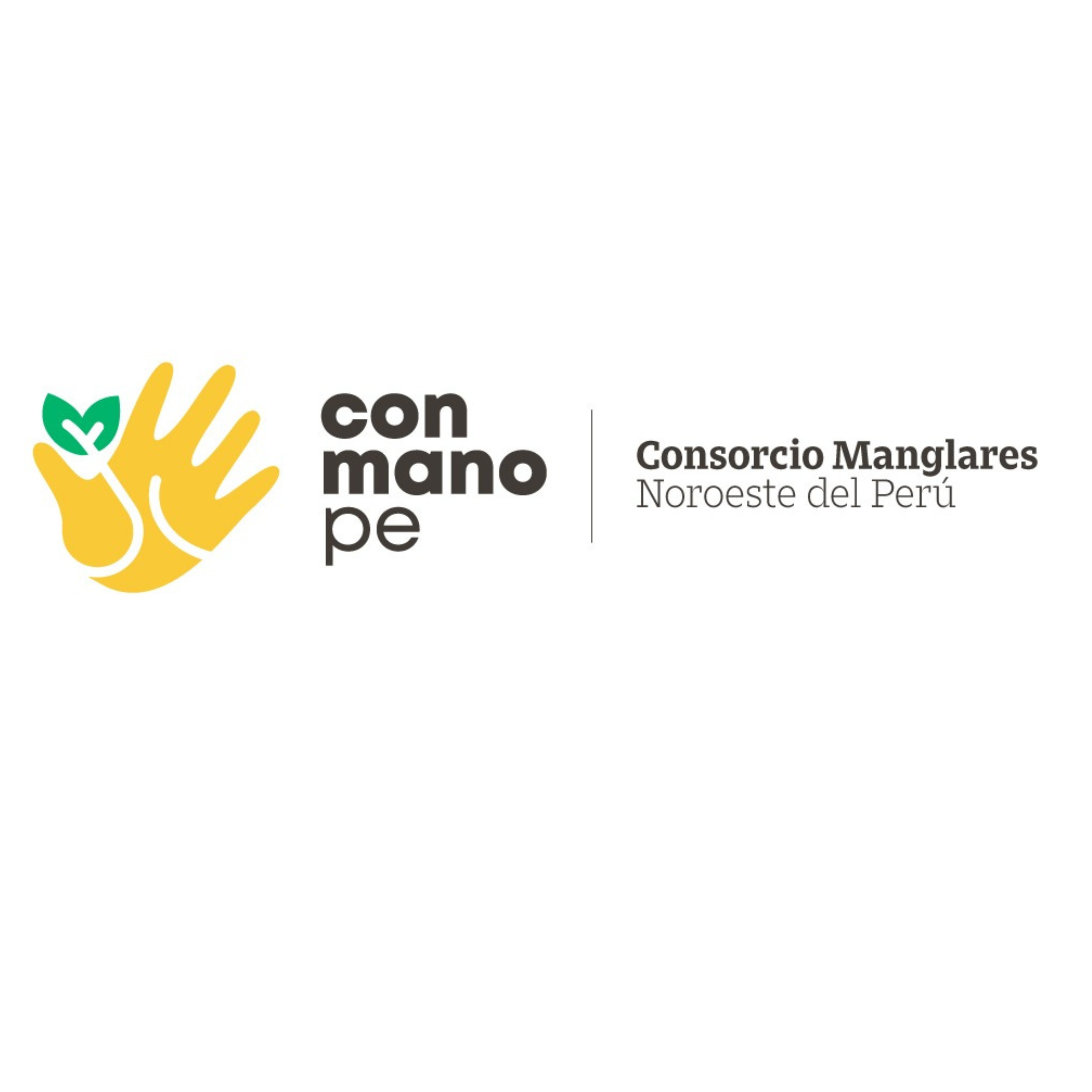Consocio Manglares Perú (Consocio Manglares Perú) - Perú