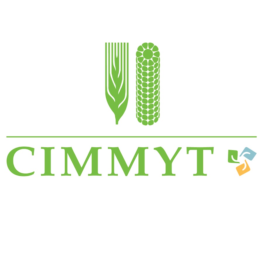 Centro Internacional de Mejoramiento de Maíz y Trigo (CIMMYT) - México