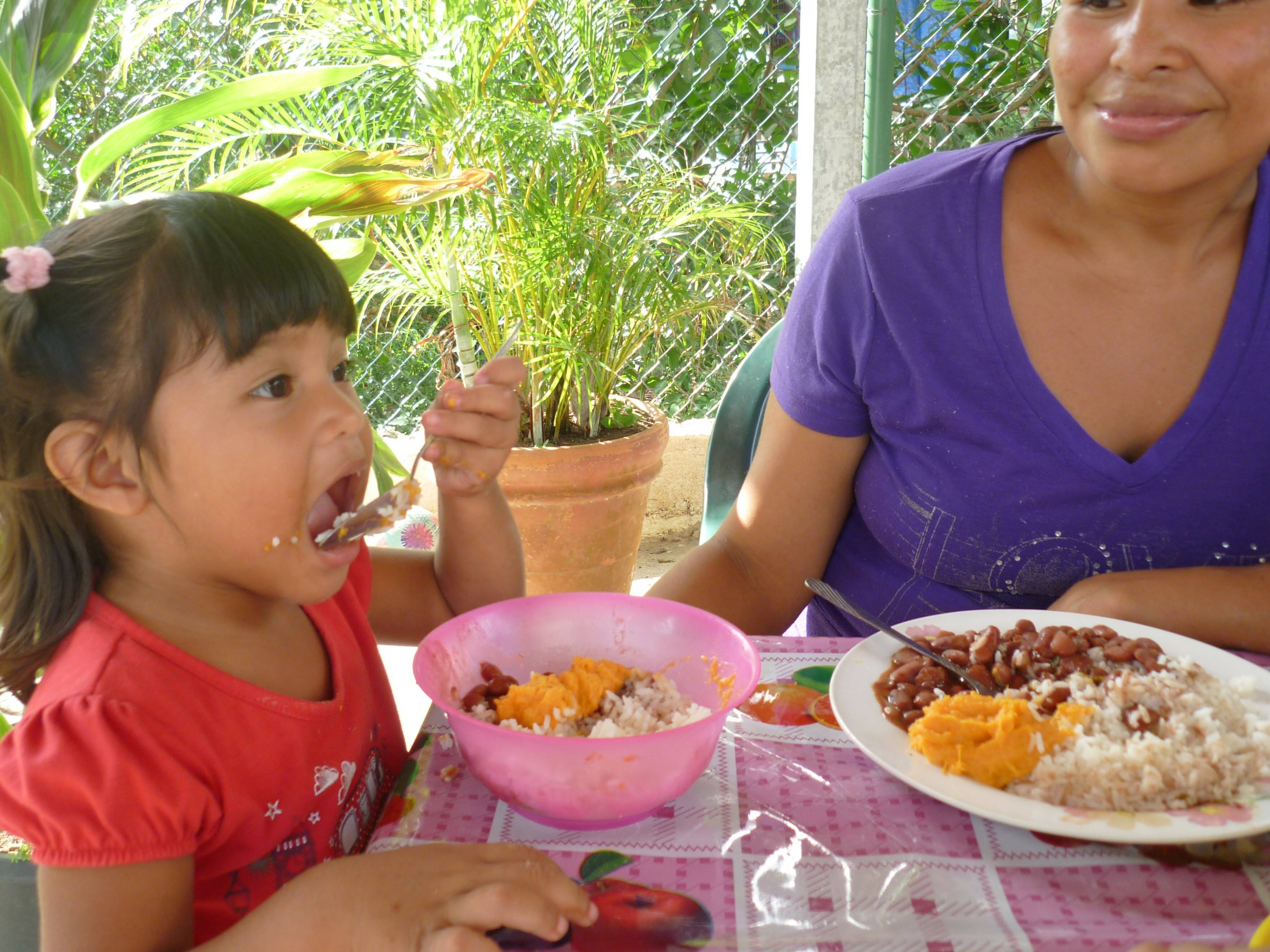 Producción de cultivos biofortificados y su uso en la alimentación ...