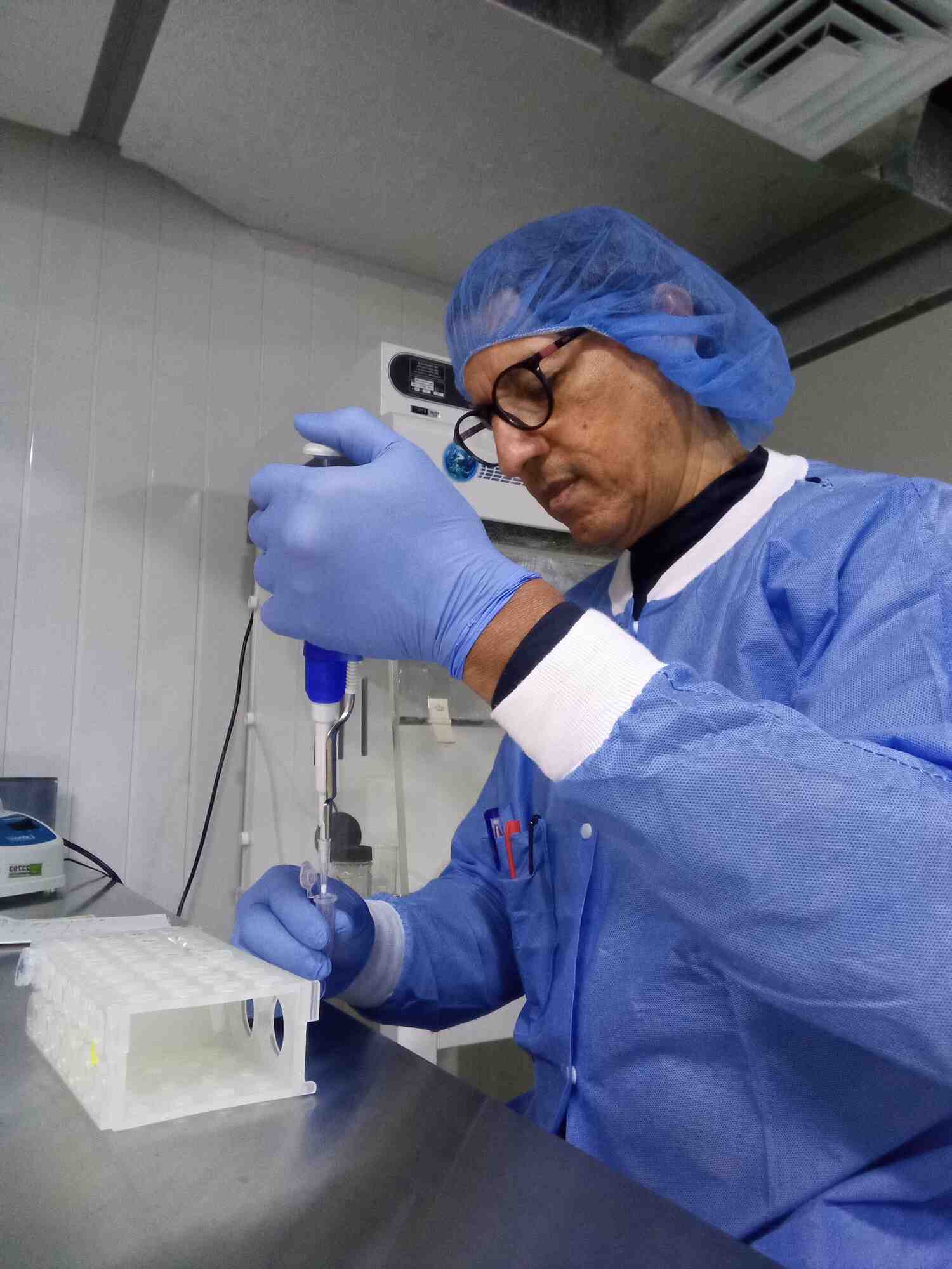 Extracción de muestras de ADN de bovinos criollos