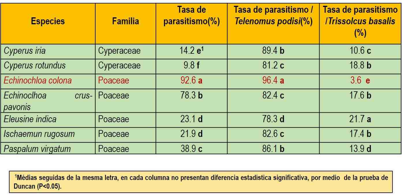 Tasa de parasitismo y especie de parasitoides de huevos de Oebalus insularis, en plantas hospedantes asociadas al cultivo de arroz, en Panamá.