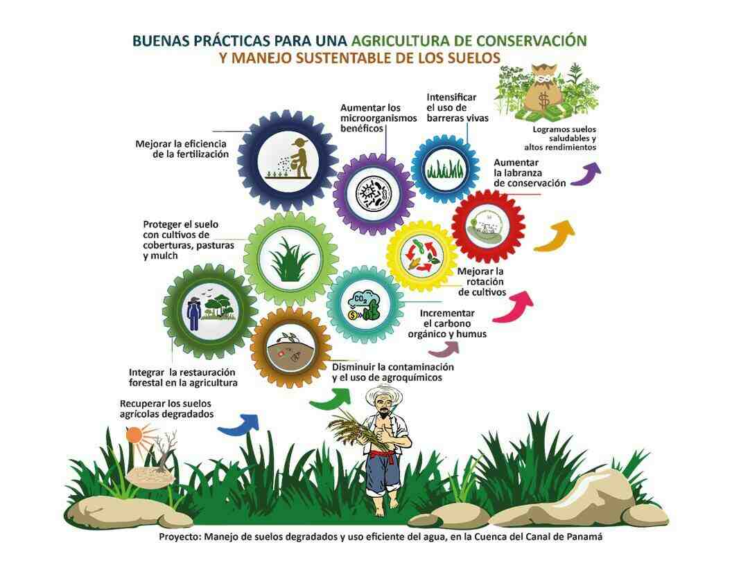 La degradación de los suelos amenaza la seguridad alimentaria y el desarrollo de nuestro país, mediante el uso de prácticas conservacionistas lograremos recuperarlos